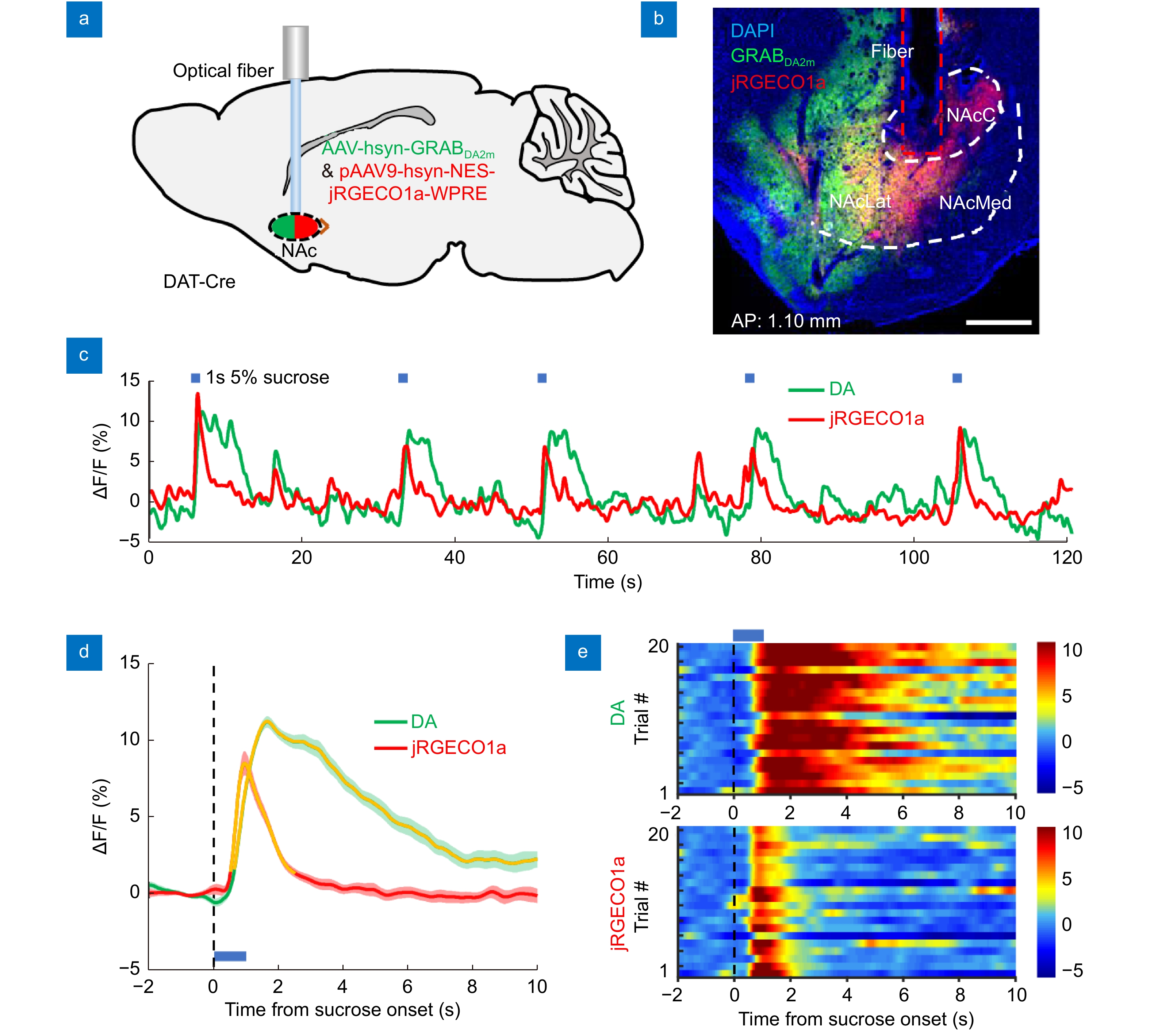 All Fiber Transmission Photometry For Simultaneous Optogenetic