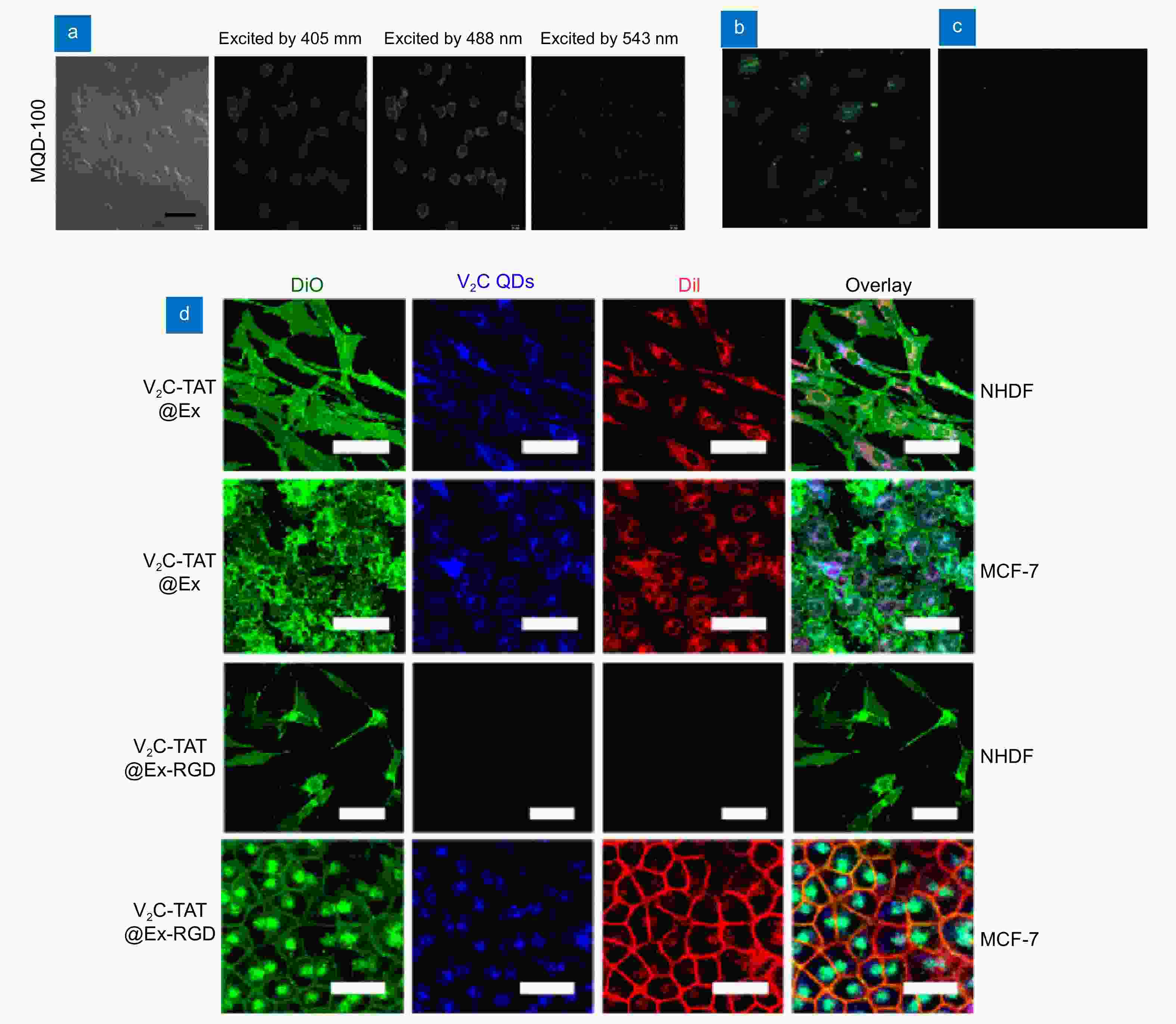 light emitting mxene quantum dots