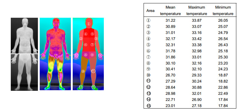 人体各部位体温分布图图片